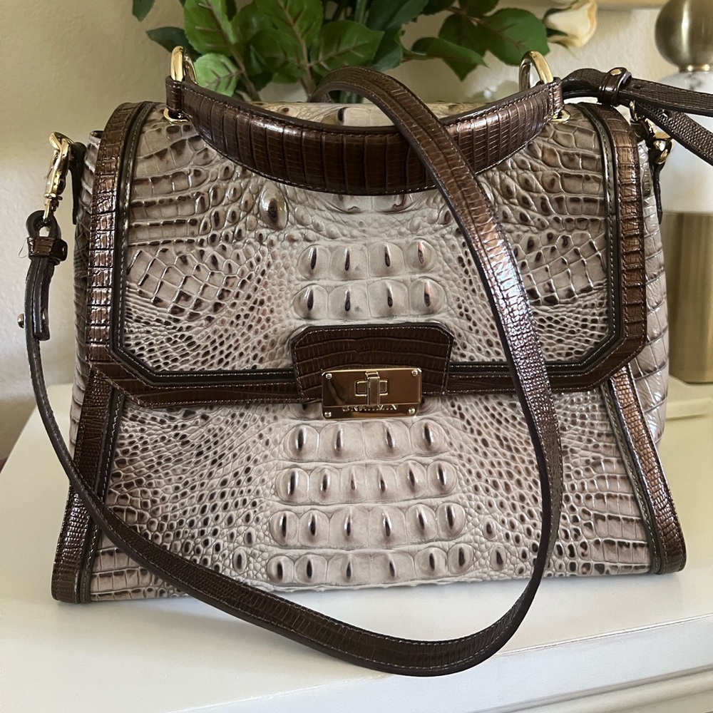 Brahmin Brinley in Barley